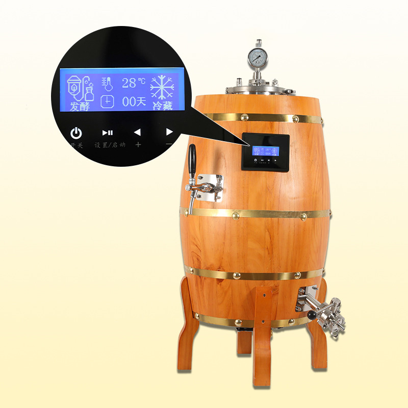 Chinese supply 30L mini home beer brewing equipment hot sell in South Aferica brewery house ZZ